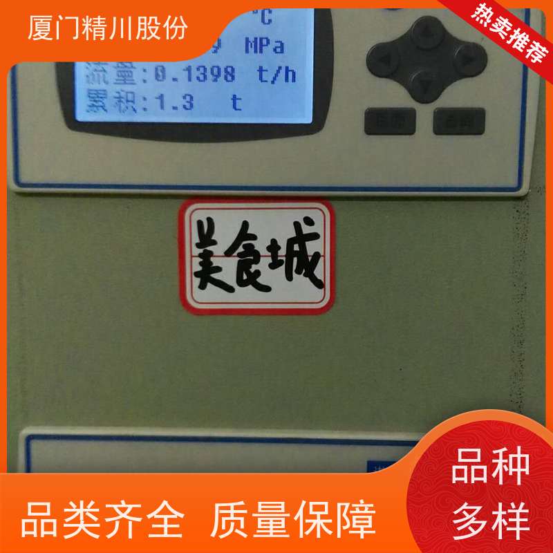 精川股份 电镀厂 压缩空气流量计 测量精度高 源头生产厂家