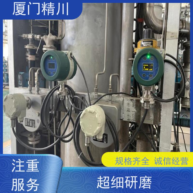 精川 制药设备小口径质量流量计 支持定制 更放心
