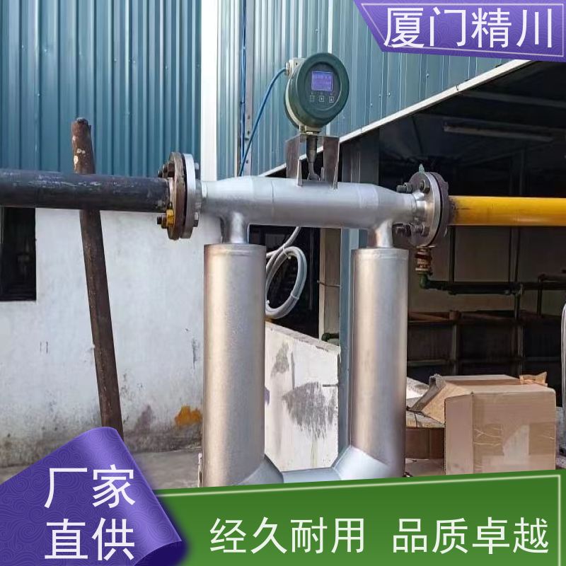 精川股份 半导体小口径质量流量计 连接方式支持定制 更放心
