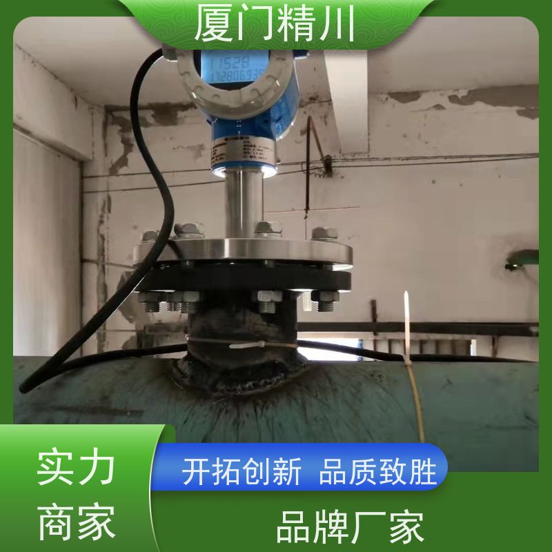 精川股份 高炉煤气 管道式靶式流量计 可测脏介质 免费选型