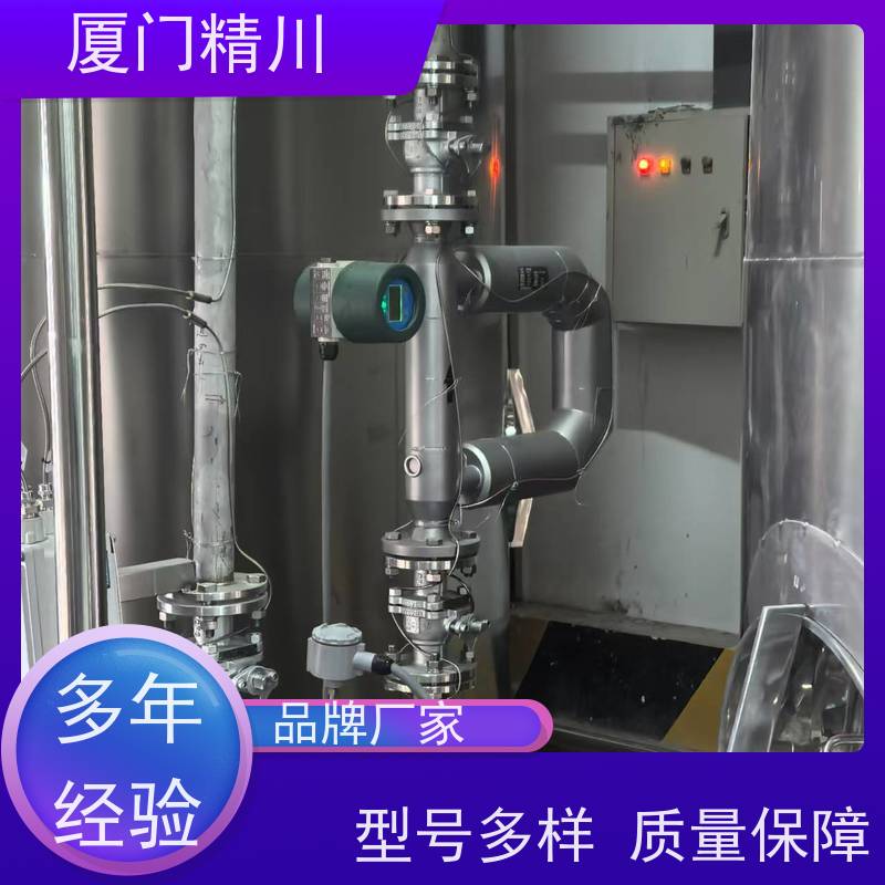 精川股份 制药厂气体质量流量计 支持定制 省力