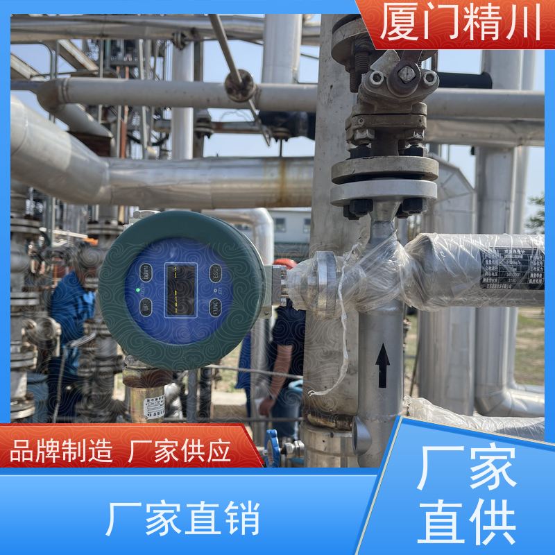 精川 食品厂气体质量流量计 连接方式支持定制 更耐用