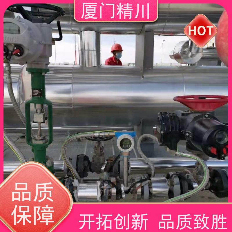 精川股份 矿物油 对夹式靶式流量计 可测脏介质 支持定制