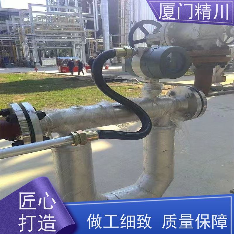 精川股份 制药厂科里奥利质量流量计 精度0.2级 更耐用