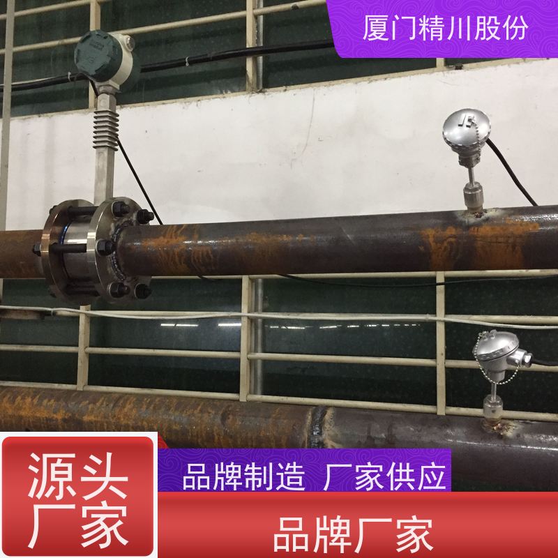 精川股份 人造革厂 导热油炉流量计 出厂都会设置好 安装简单
