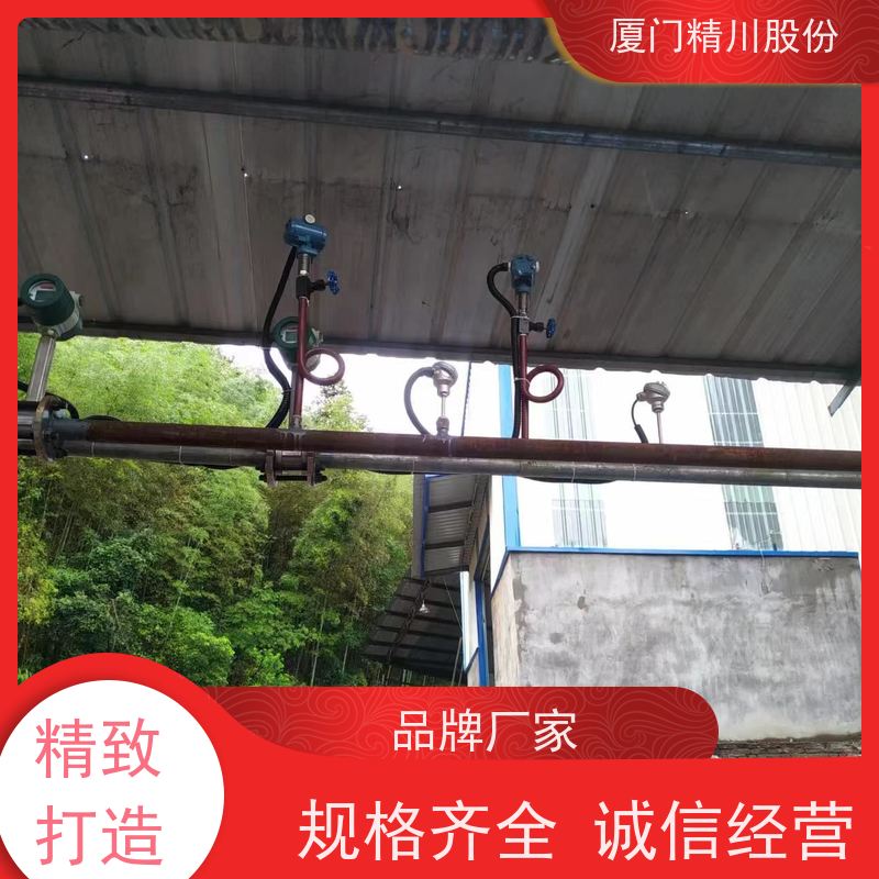 精川股份 印染厂 空气涡街流量计 分体式温压补偿 源头生产厂家