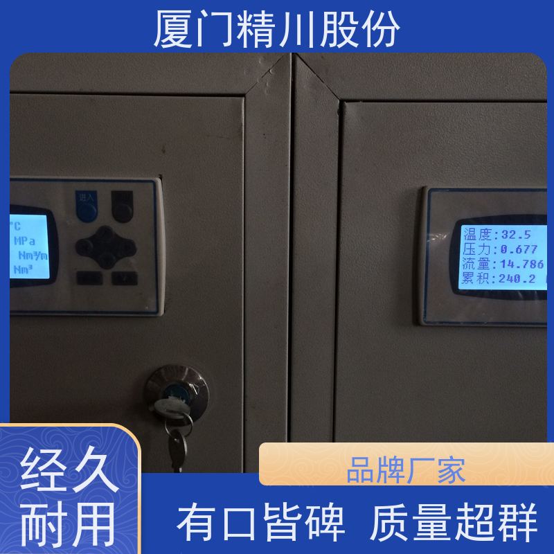 精川股份 饲料厂 蒸汽涡街流量计 一体式温压补偿 支持免费选型