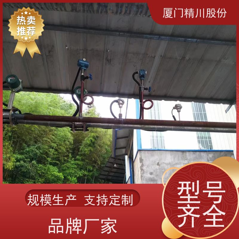 精川股份 染整厂 涡街流量计 工作时间长 应用广泛