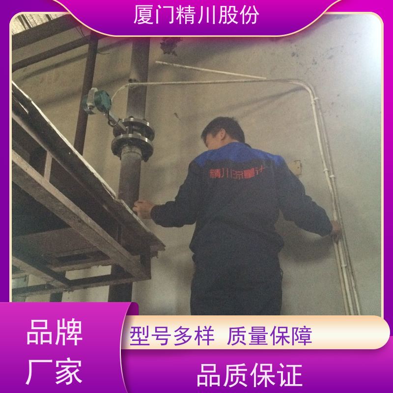 精川股份 胶带厂 蒸汽涡街流量计 工作时间长 真实应用案例多