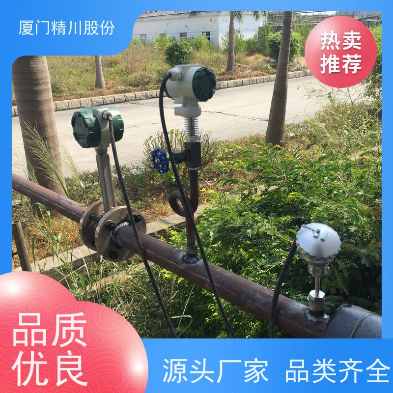 精川股份 印染厂 液体涡街流量计 分体式温压补偿 支持免费选型