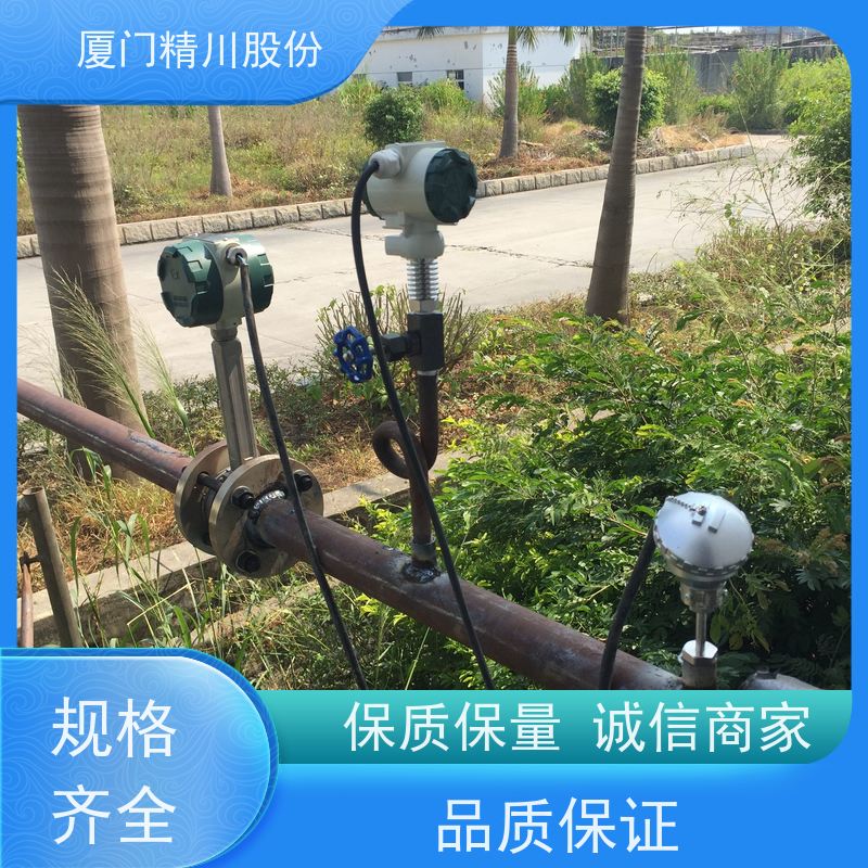 精川股份 橡胶厂 涡街流量计 工作时间长 应用广泛