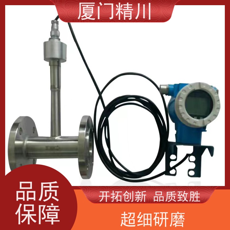 精川股份 焦炉煤气 管道式靶式流量计 可测脏介质 性能稳定