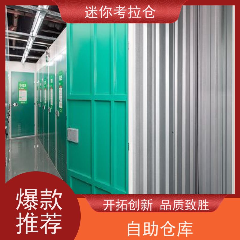 迷你考拉仓库小仓房深圳支持定制详情电联出租信息
