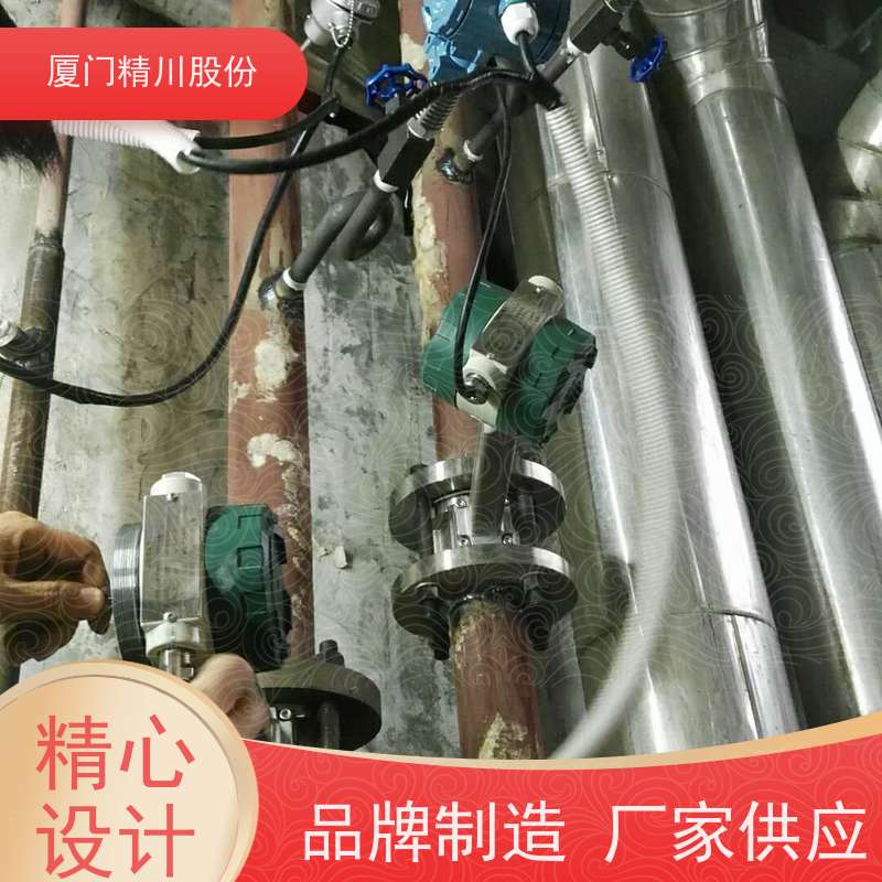 精川股份 胶带厂 锅炉蒸汽流量计 一体式温压补偿 支持免费选型