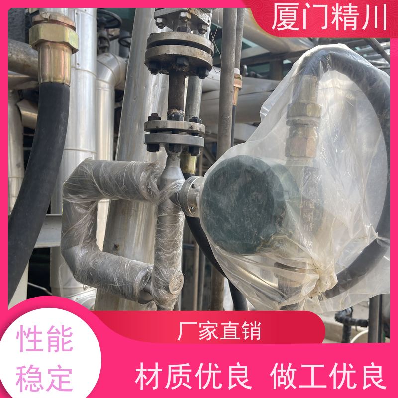 精川股份 半导体小口径质量流量计 支持定制 更放心