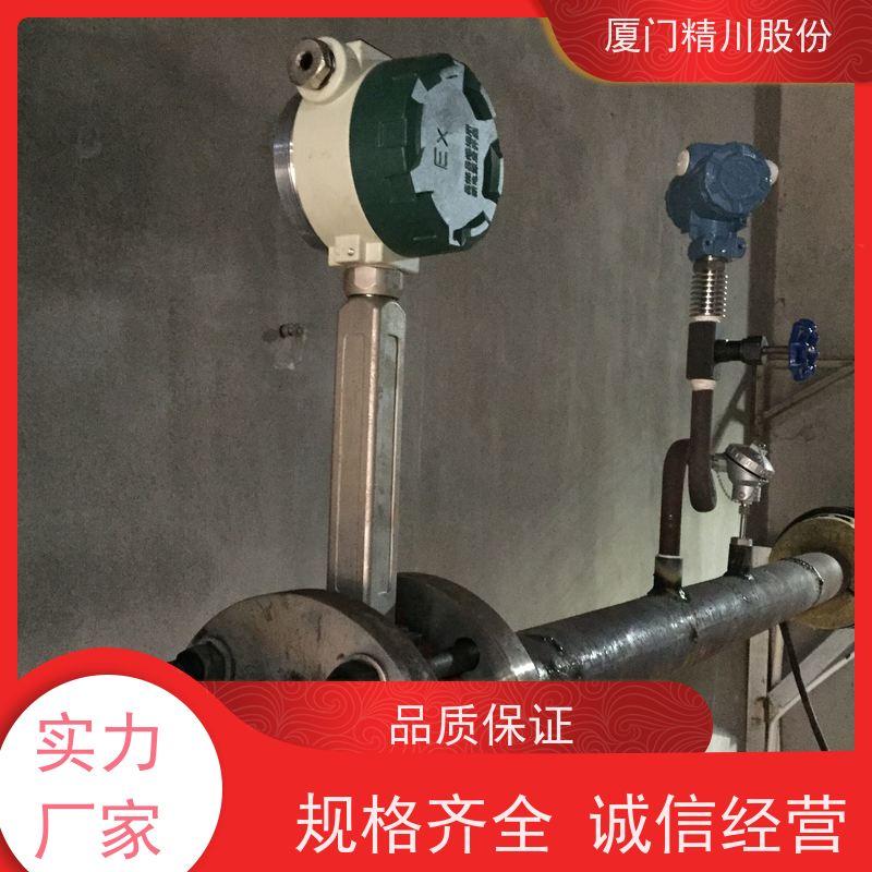 精川股份 PU皮革厂 锅炉蒸汽流量计 抗震性能好 支持免费选型