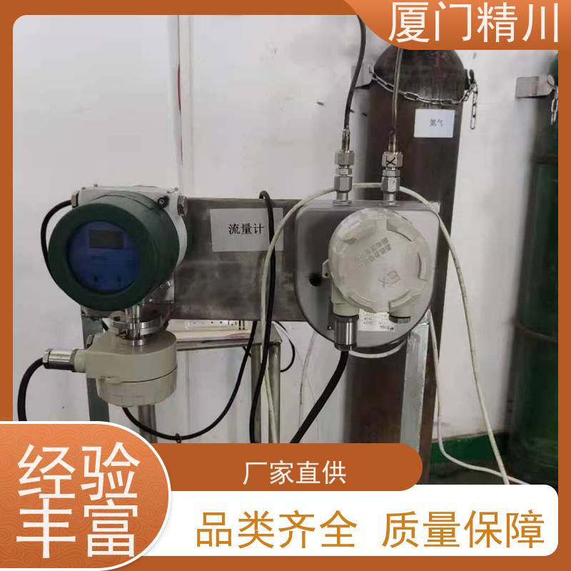 精川股份 锂电行业小口径质量流量计 支持定制 更耐用