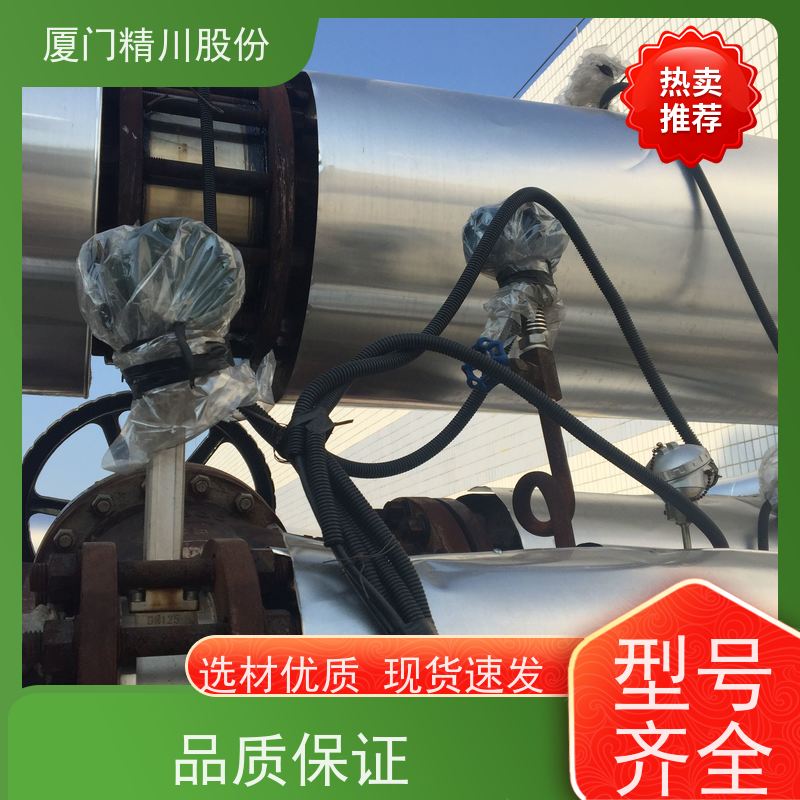 精川股份 皮革厂 导热油炉流量计 自动计算能量 品质可靠
