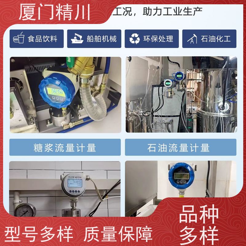 精川 油脂 防腐型齿轮流量计 每台实标合格出厂 坚守品质