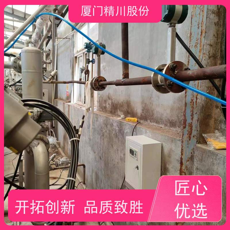 精川股份 造纸厂 压缩空气流量计 抗震性能好 维护量少
