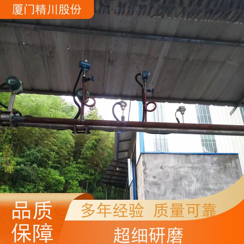 精川股份 PU皮革厂 锅炉蒸汽流量计 可耐温350度 源头生产厂家