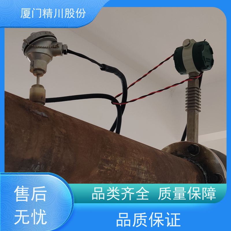 精川股份 人造革厂 导热油炉流量计 耐高温400度 单位可选