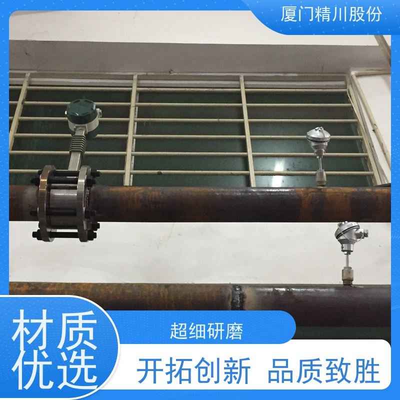 精川股份 PU皮革厂 导热油炉流量计 精度高 品质可靠