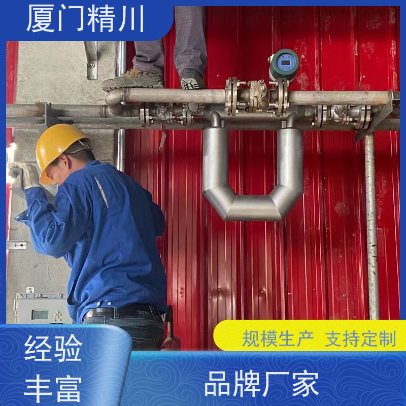 精川股份 半导体质量流量计 连接方式支持定制 有保障