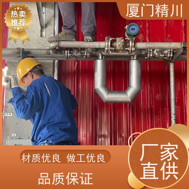 精川股份 制药厂小口径质量流量计 支持定制 更耐用