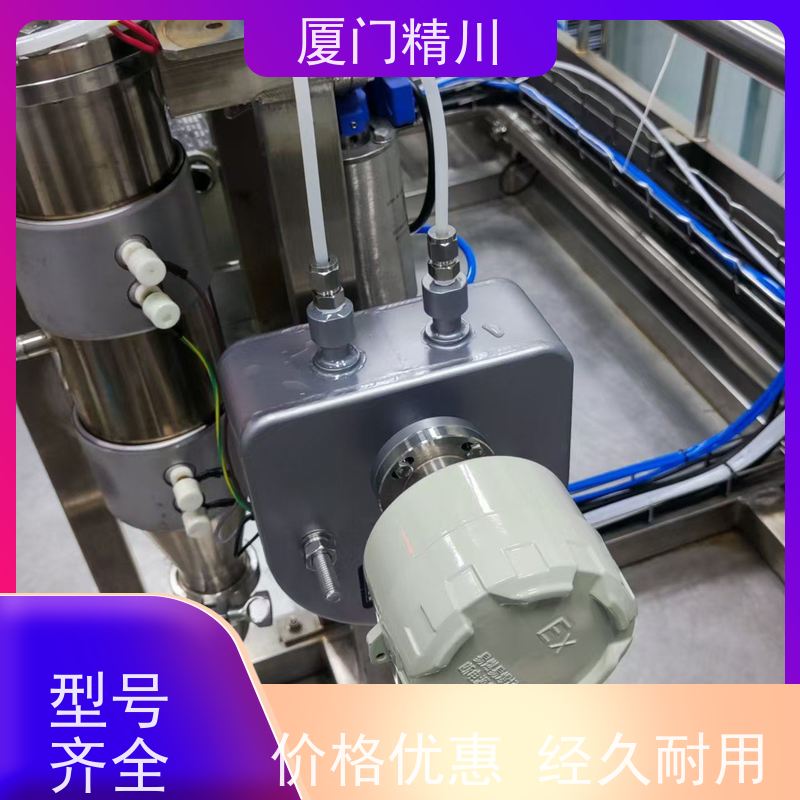 精川股份 食品厂气体质量流量计 连接方式支持定制 有保障