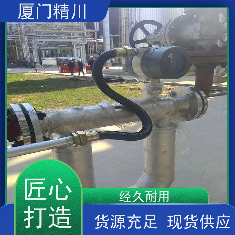 精川 制药设备科里奥利质量流量计 连接方式支持定制 省力