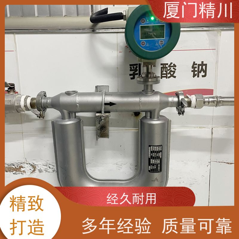 精川 食品厂DN1质量流量计 连接方式支持定制 更放心