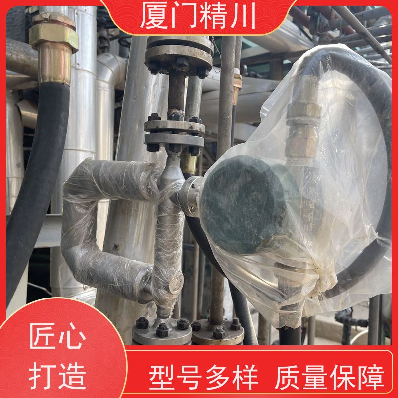 精川股份 食品厂DN1质量流量计 精度0.2级 省心