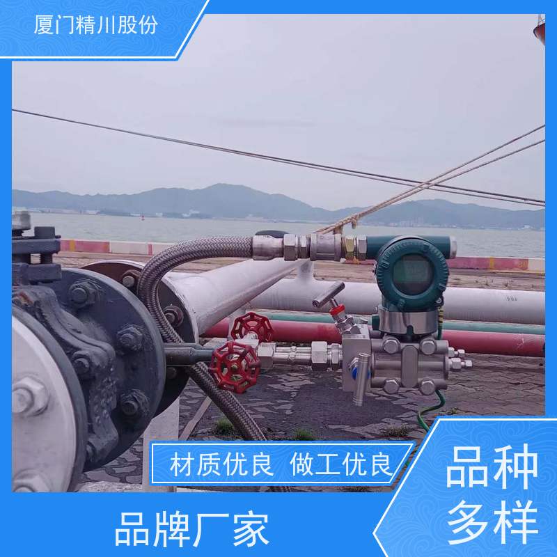 精川股份 PU皮革厂 导热油流量计 精度高 免费选型