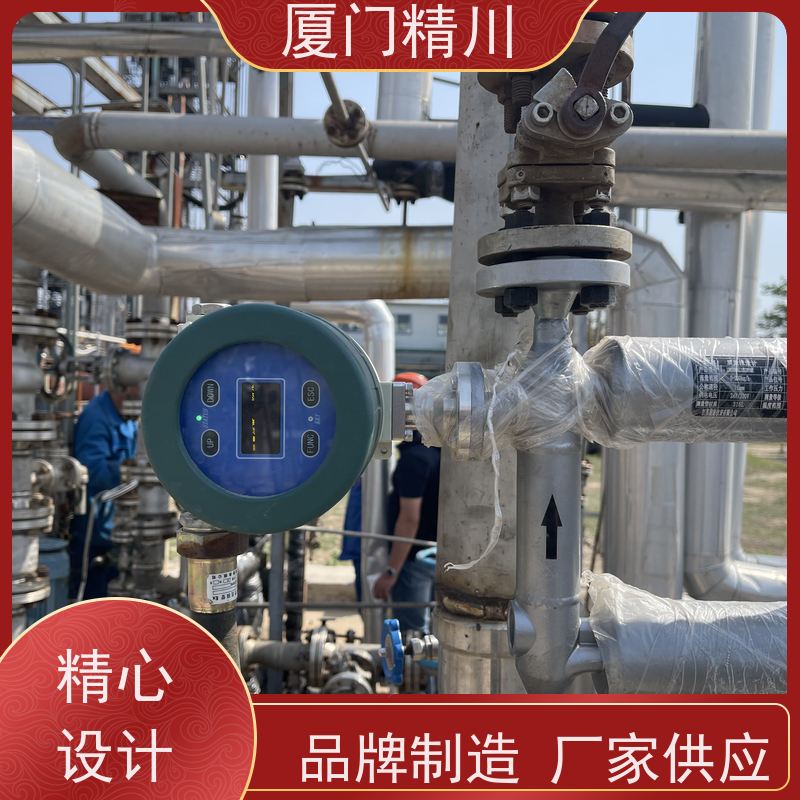 精川股份 制药厂质量流量计 连接方式支持定制 更放心