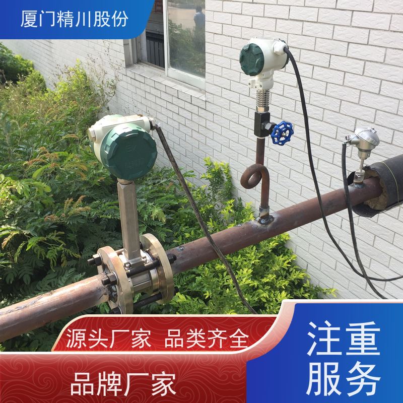 精川股份 纺织厂 涡街流量计 分体式温压补偿 支持免费选型