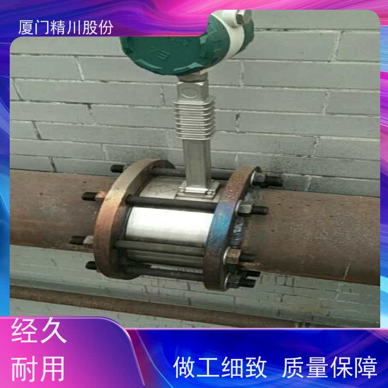 精川股份 印染厂 导热油炉流量计 精度高 安装简单
