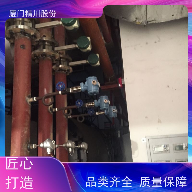 精川股份 皮革厂 蒸汽涡街流量计 抗震性能好 应用广泛
