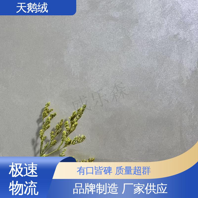 威乐森 灰色天鹅绒艺术漆 重涂间隔 2-4小时 规模生产 支持定制