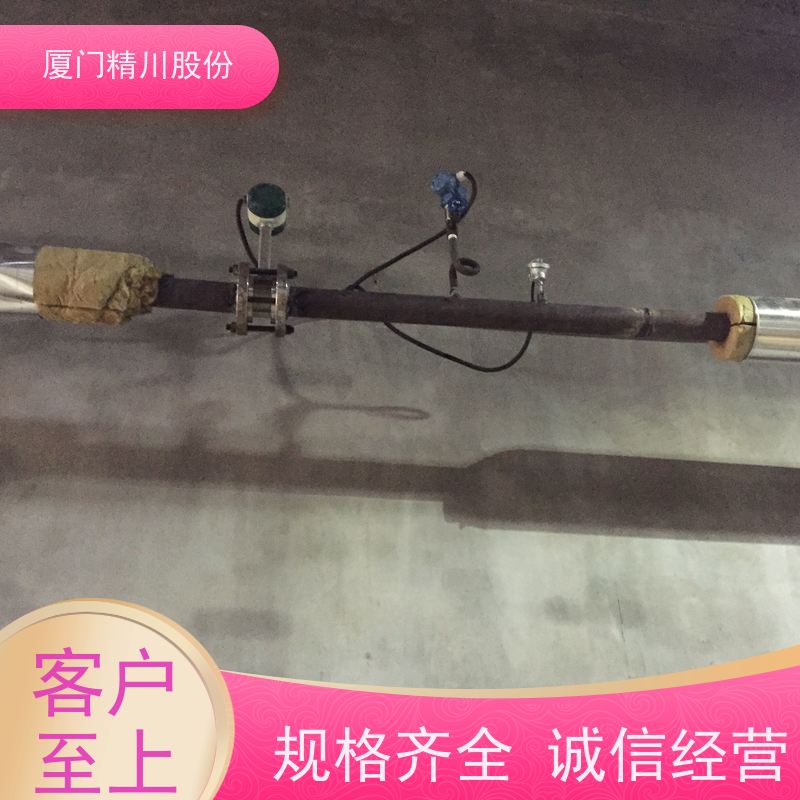 精川股份 包装厂 锅炉蒸汽流量计 抗震性能好 维护量少