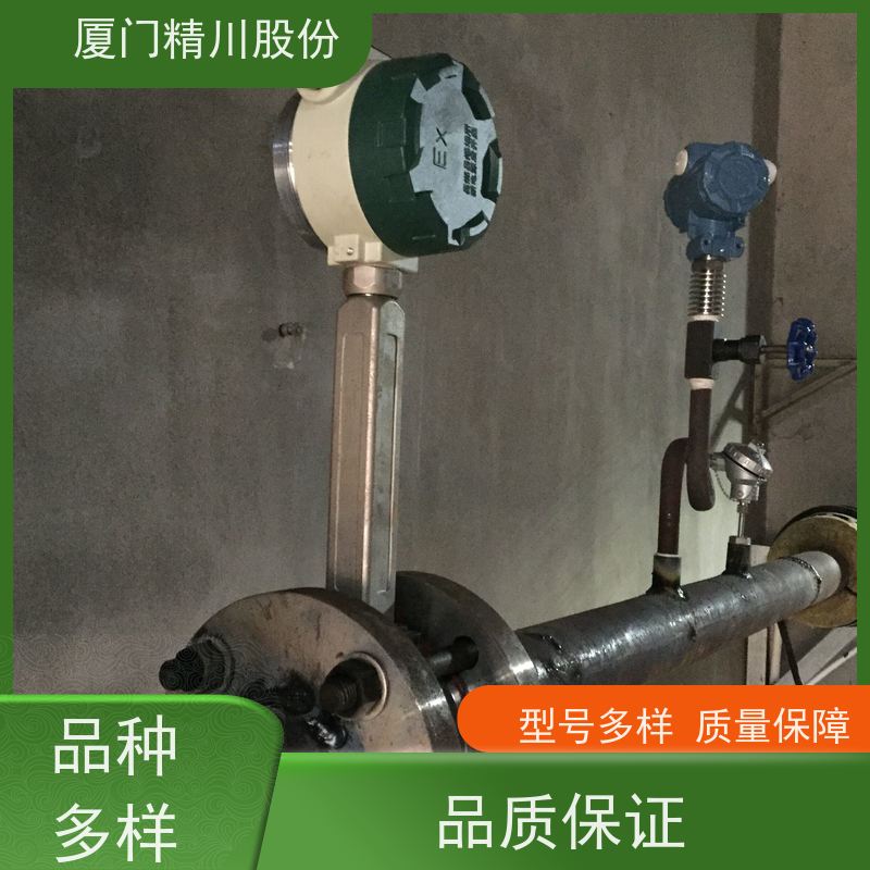 精川股份 造纸厂 蒸汽流量计 分体式温压补偿 应用广泛