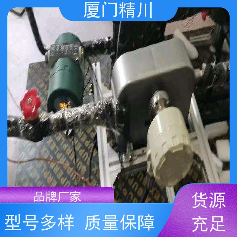 精川 制药厂液体质量流量计 连接方式支持定制 更放心