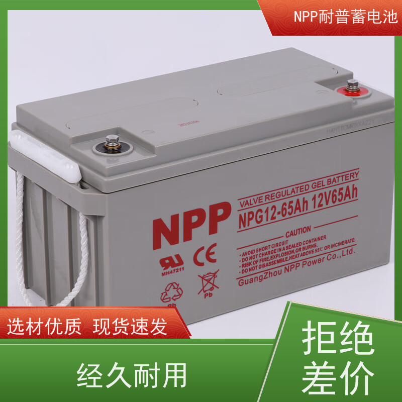 山 特蓄电池 NPG12-38 适用EPS ups电源 库存充足