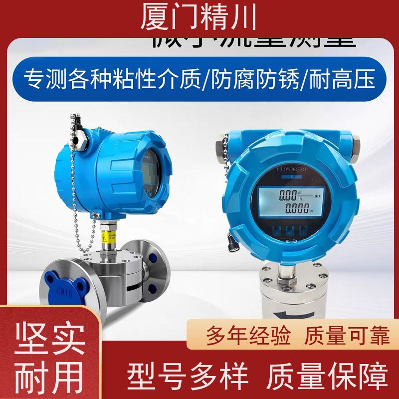 精川 AB胶 微小型圆齿轮流量计 体积小 保证品质