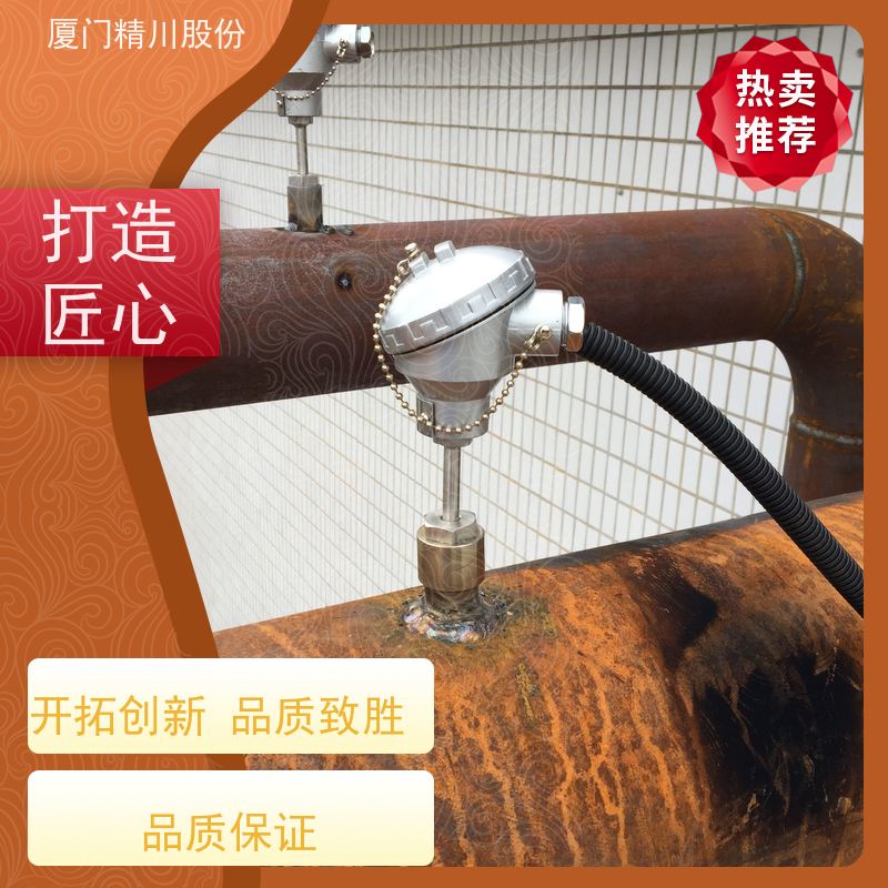 精川股份 皮革厂 导热油炉流量计 精度高 经久耐用