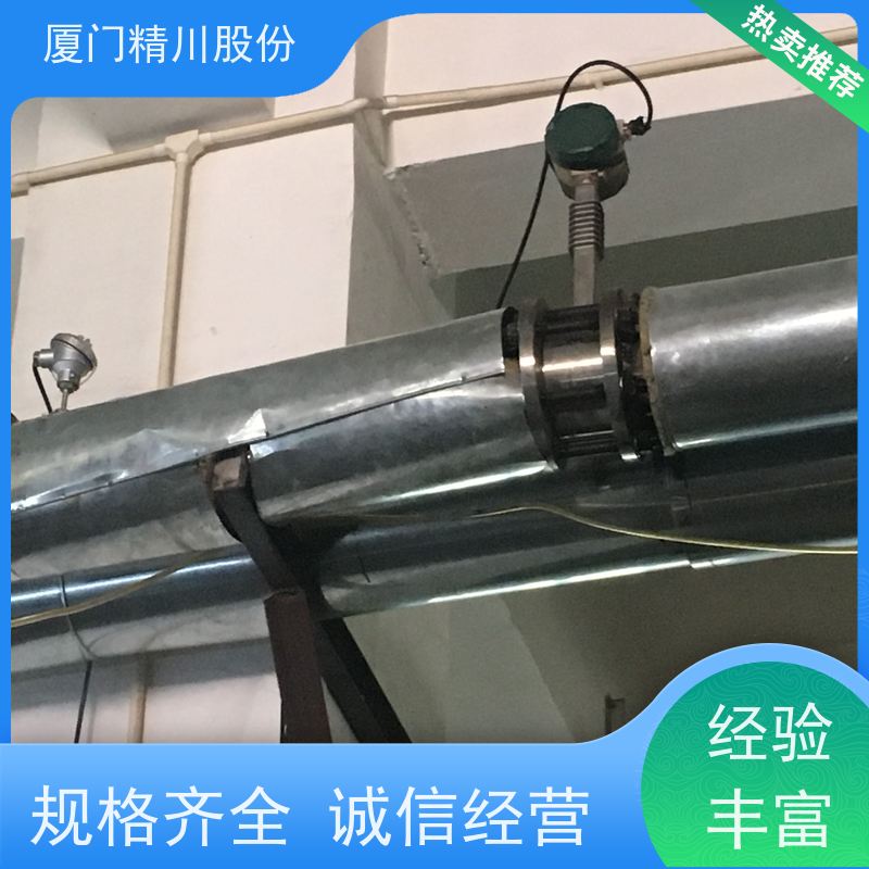 精川股份 橡胶厂 导热油炉流量计 自动计算能量 经久耐用