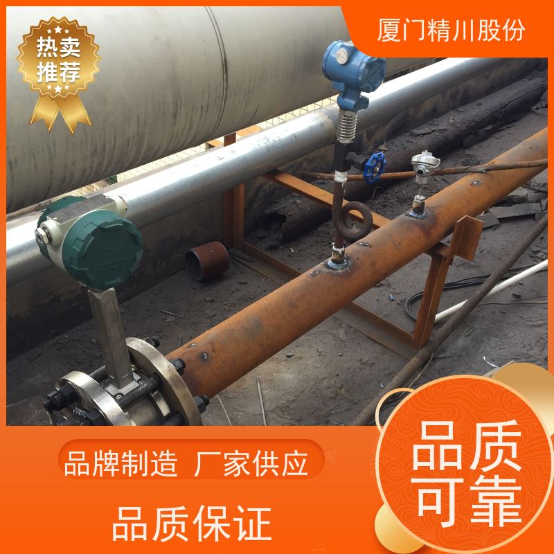 精川股份 制药厂 蒸汽流量计 抗震性能好 应用广泛