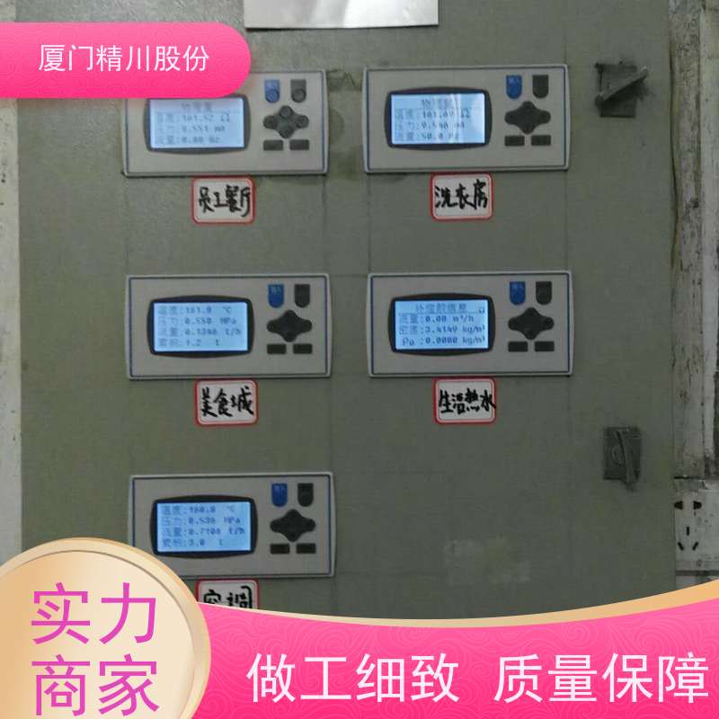 精川股份 染整厂 锅炉蒸汽流量计 分体式温压补偿 支持免费选型
