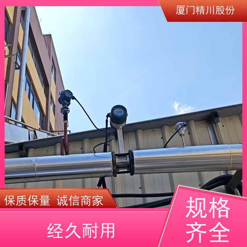 精川股份 皮革厂 压缩空气流量计 分体式温压补偿 支持免费选型