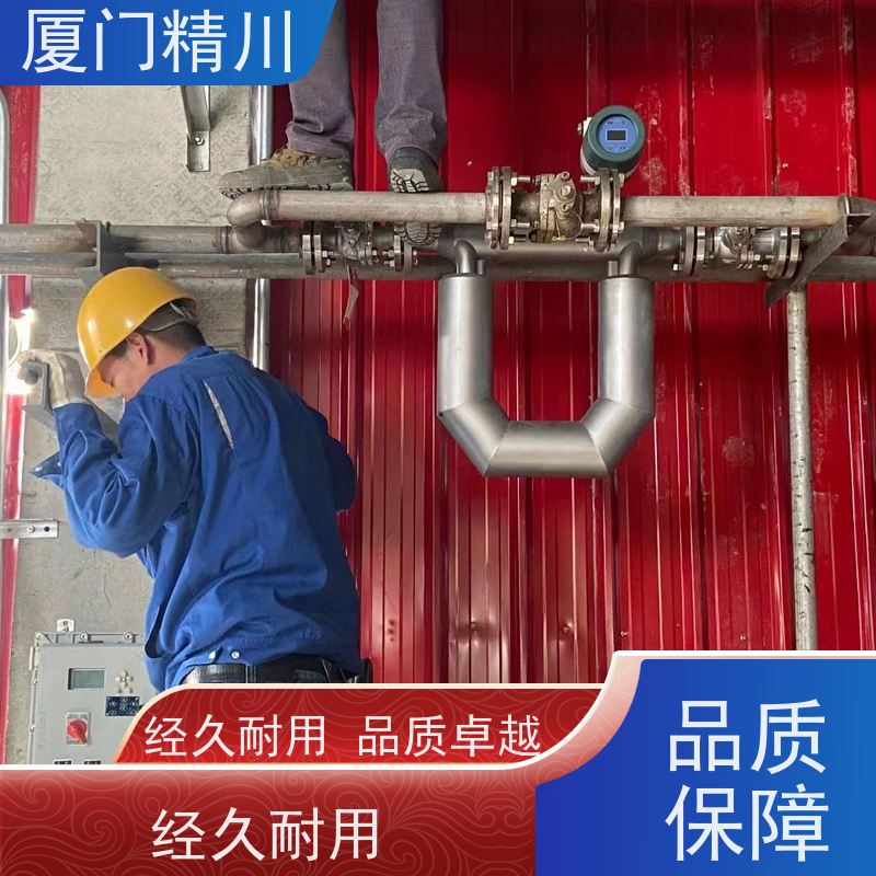 精川股份 大学实验室科里奥利质量流量计 精度0.2级 更耐用